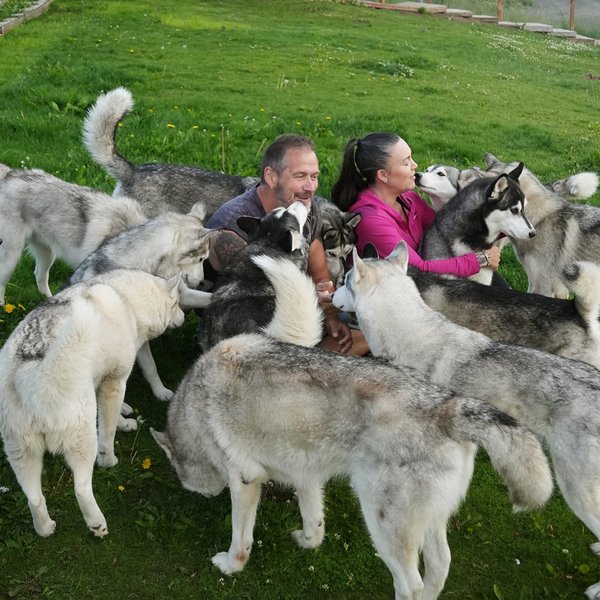 María og Gunnar eiga 28 husky hunda