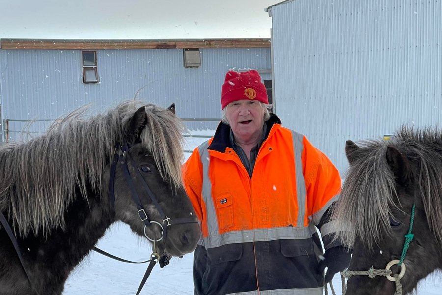 Burt með dýraeftirlit hjá Matvælastofnun