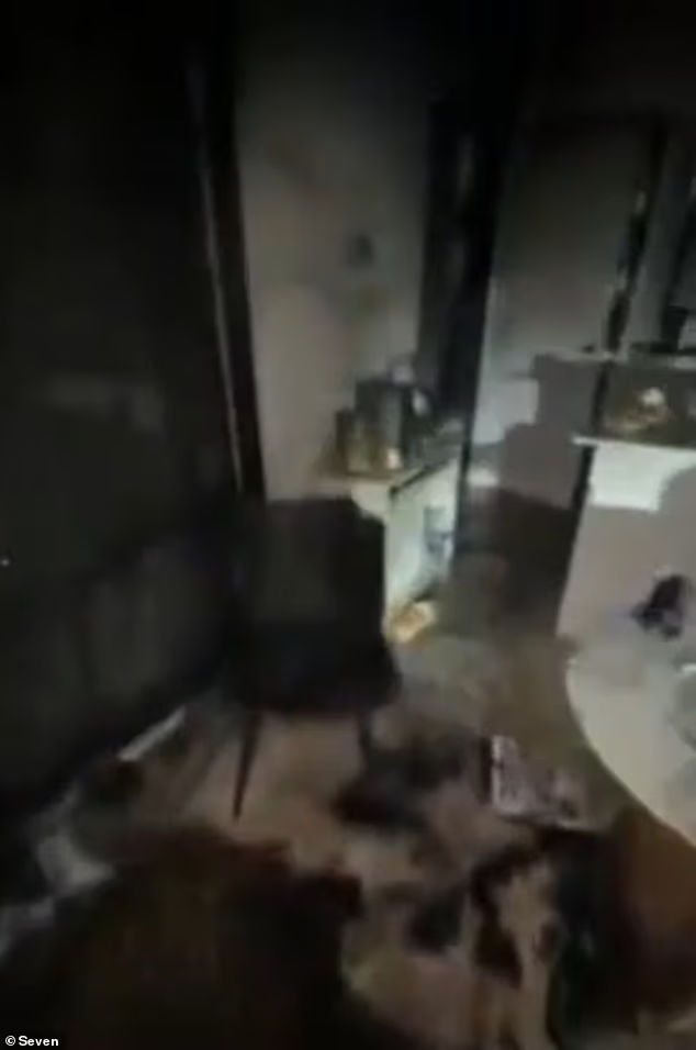 110052861-15981327-The_25_year_old_had_been_vacuuming_when_the_device_erupted_into_-a-2_1784181838836