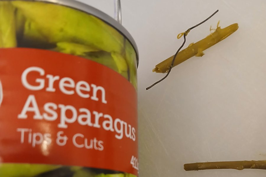 Fann járnvír flæktan í aspasnum