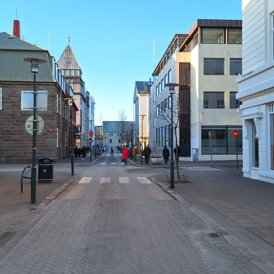 Íkveikjumál í 101