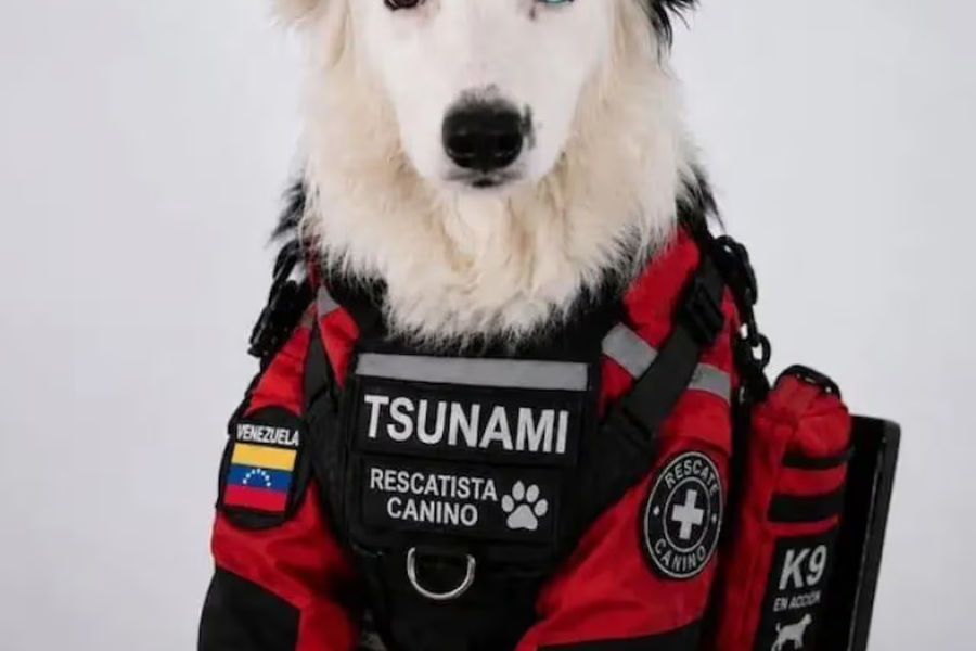 Bjargaði 13 mannslífum