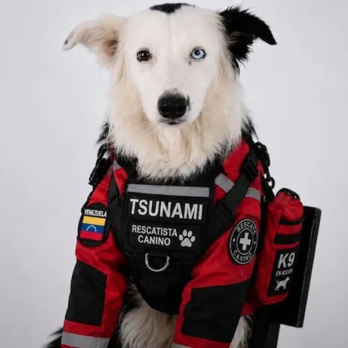 Tsunami
