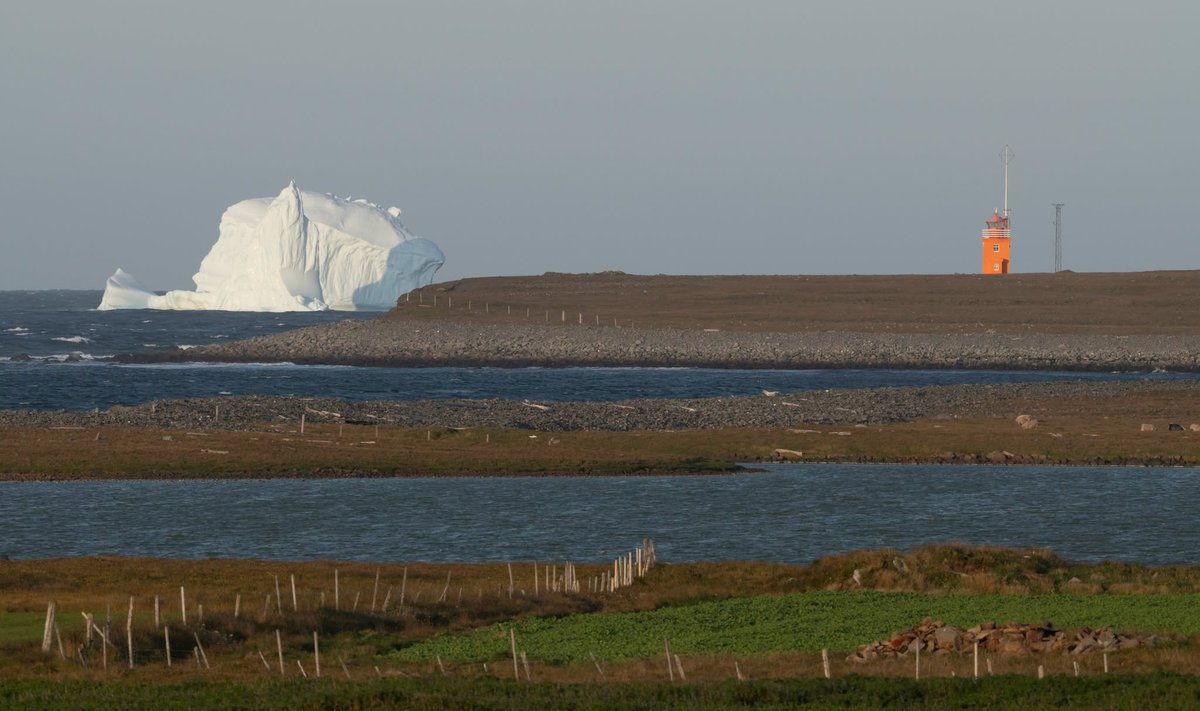 Borgarísjaki