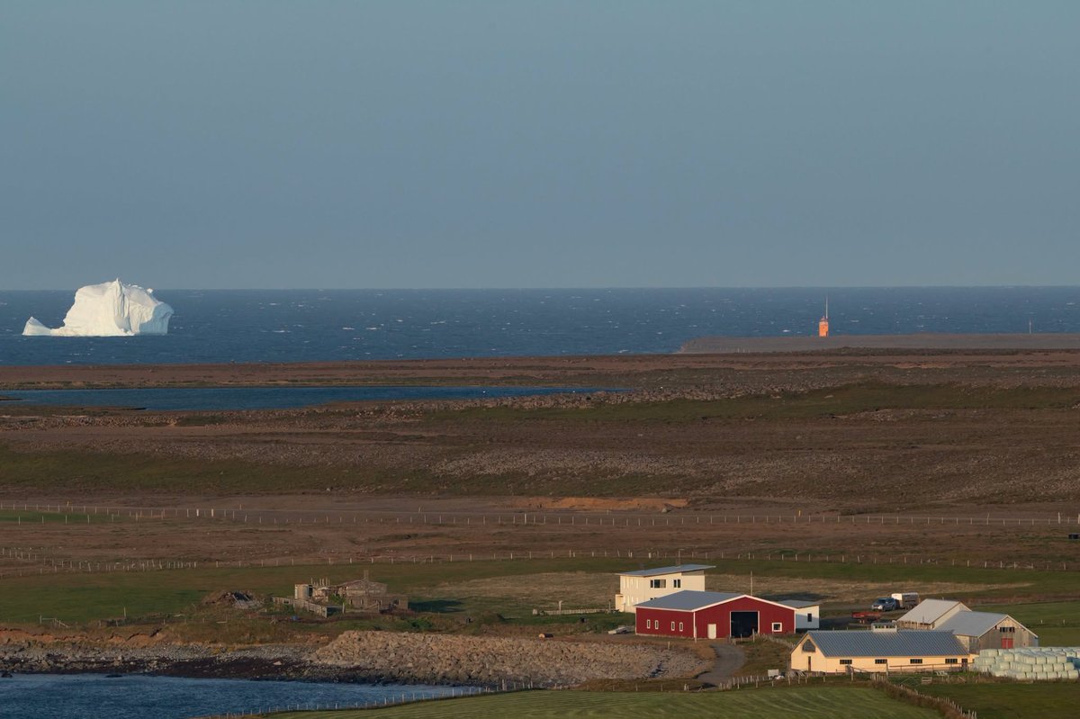 Borgarísjaki