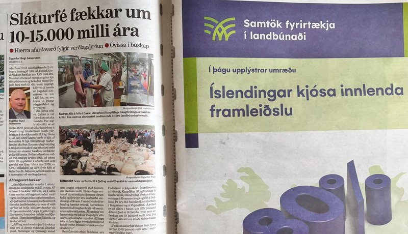 Klippa úr blaði