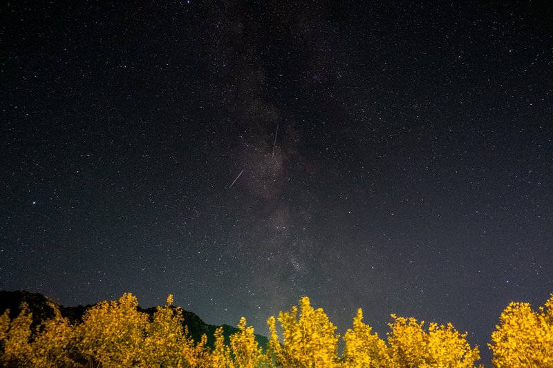Orionid Meteor Shower