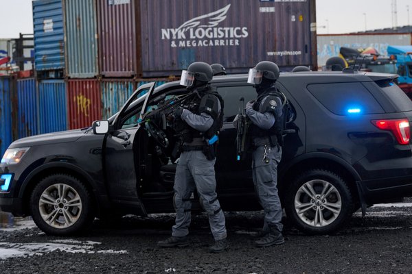 Skipulögðum brotahópum fjölgað um helming á Íslandi