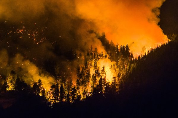Hljóðbylgjur gætu slökkt skógarelda í framtíðinni