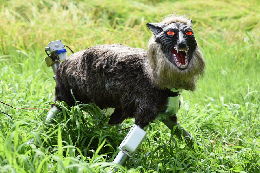Eftirspurn eftir vélmennaúlfum eykst til muna