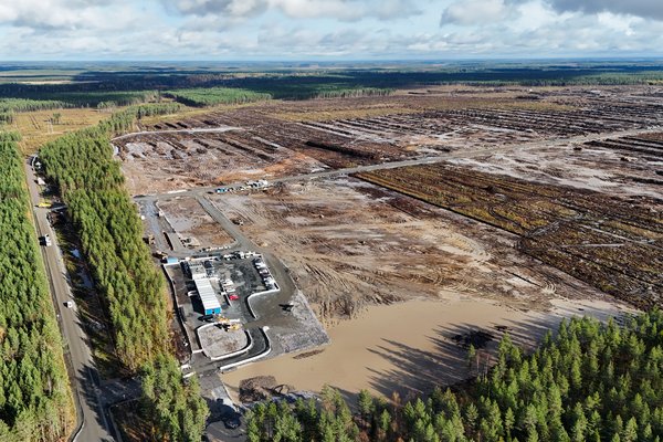 Finnar æfir eftir að Google felldi 400.000 tré í leyfisleysi