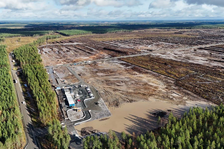 Finnar æfir eftir að Google felldi 400.000 tré í leyfisleysi