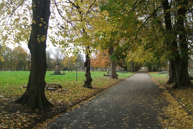 Unglingspiltur beittur kynferðisofbeldi í almenningsgarði