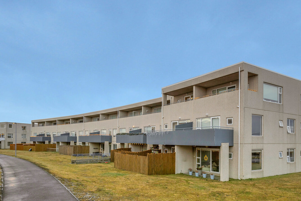 Hverfishetja selur í Árbænum