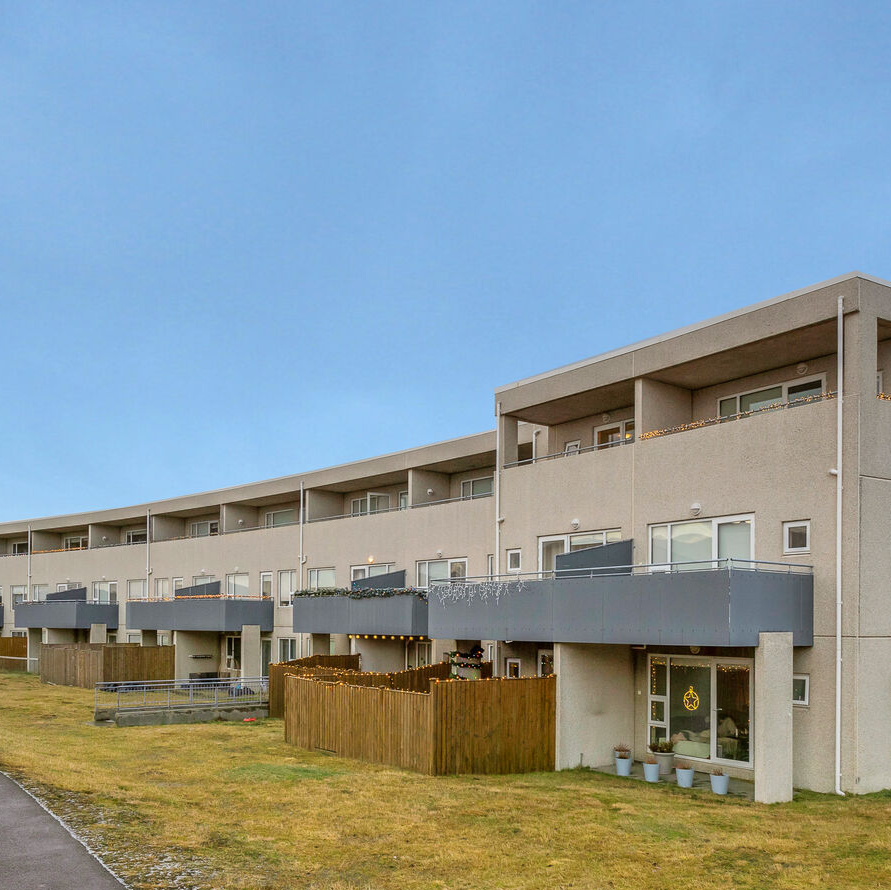 Hverfishetja selur í Árbænum