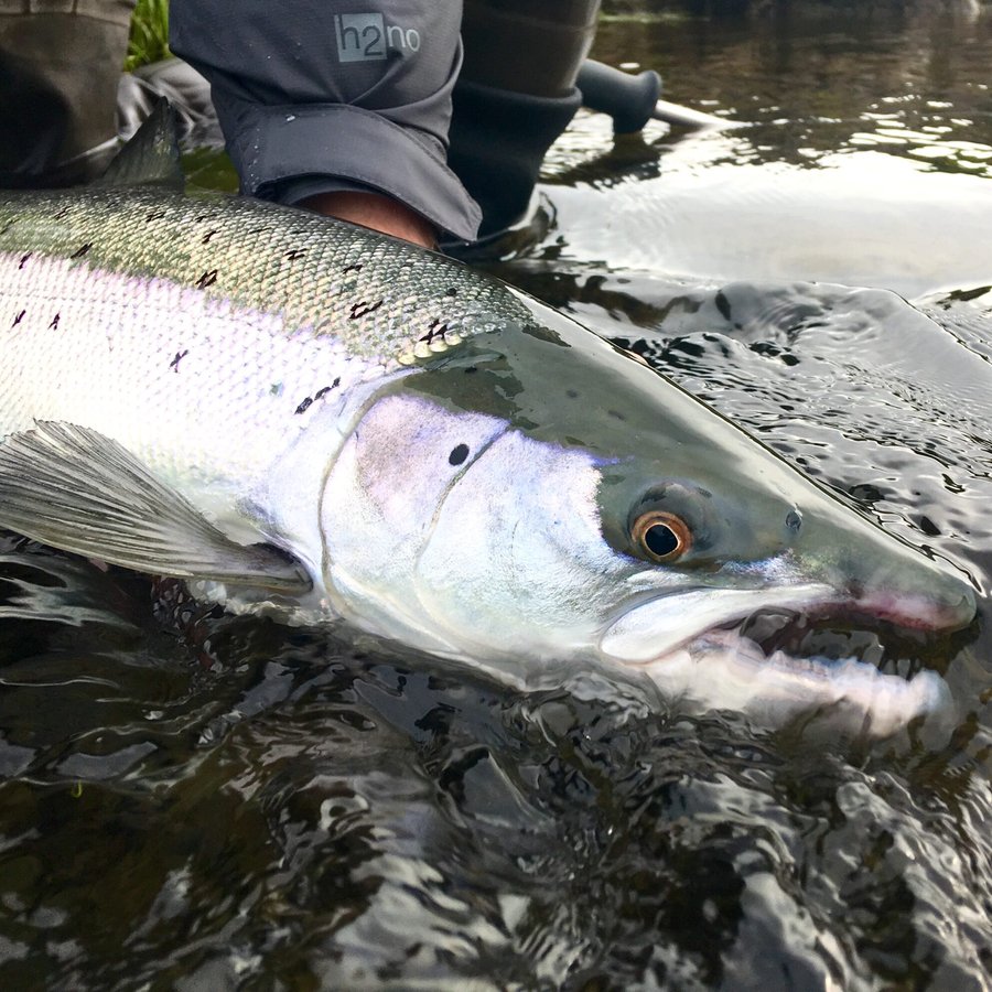 Veiðimaður ákærður