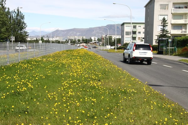 Háaleitisbraut