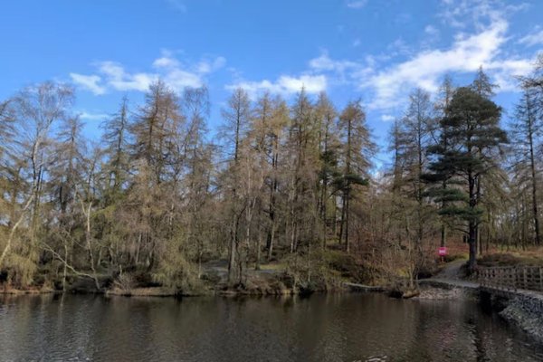 Lík 17 ára pilts fannst eftir leit í tjörn