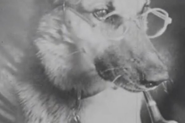 Nýfundið myndband sýnir nasista neyða hund til að reykja pípu