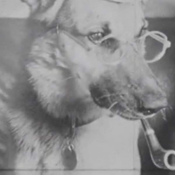 Nýfundið myndband sýnir nasista neyða hund til að reykja pípu