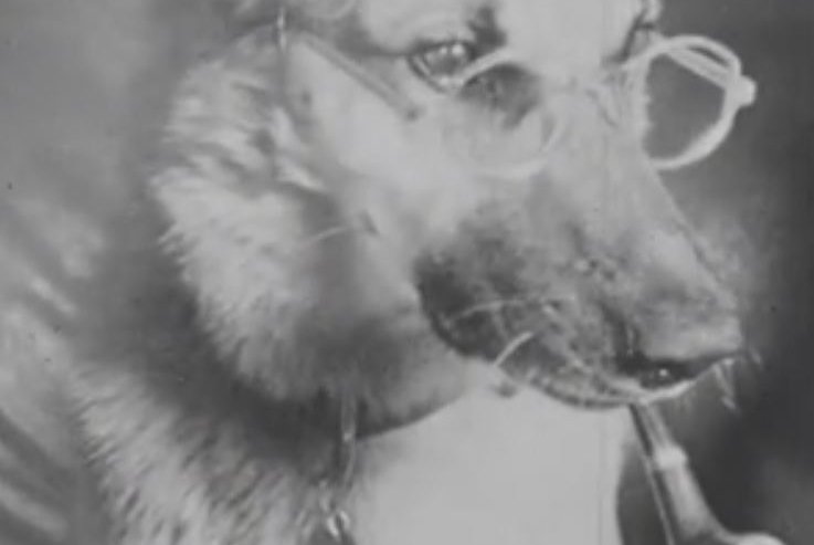 Nýfundið myndband sýnir nasista neyða hund til að reykja pípu