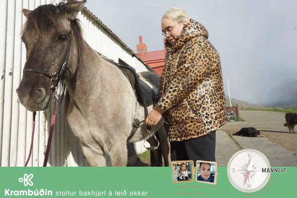 Pólar Hestar -draumur og dýrðlegheit í hreinu sveitalofti