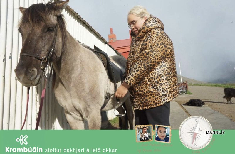 binni glee pólar hestar