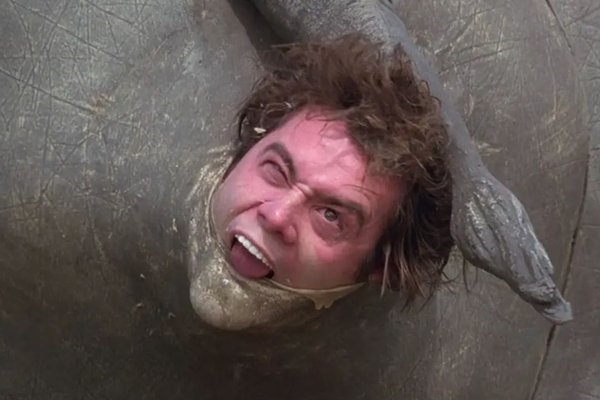 „Rassfæðingar“-nashyrningurinn úr Ace Ventura fer á uppboð