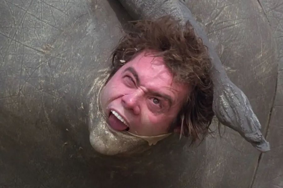 „Rassfæðingar“-nashyrningurinn úr Ace Ventura fer á uppboð