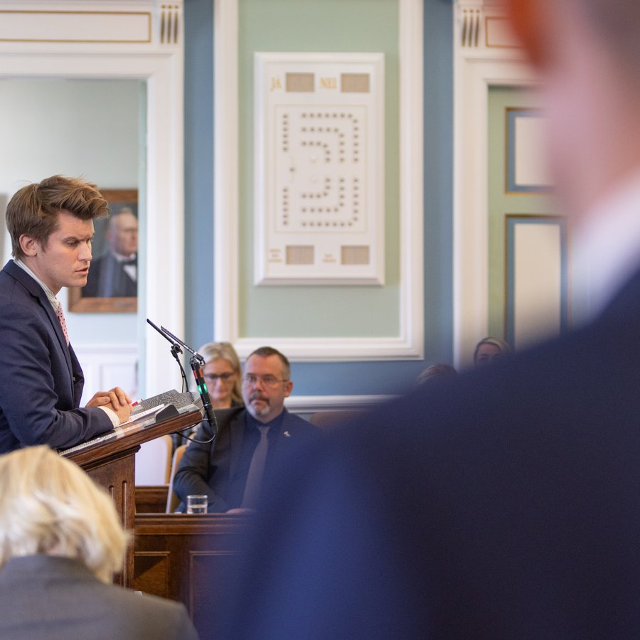 Jóhann Páll verndar formfagran gíg