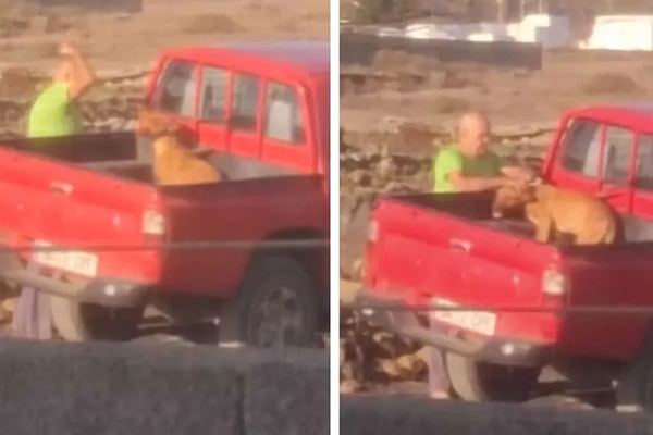 Handtekinn fyrir að berja hund
