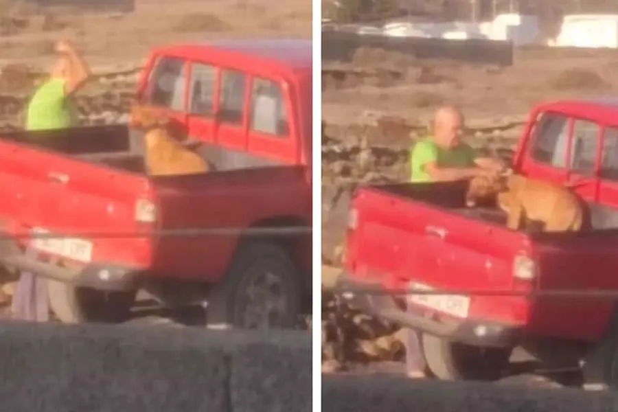 Handtekinn fyrir að berja hund