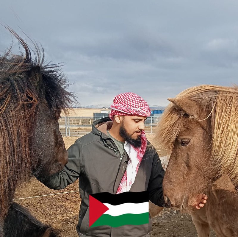 Mohammed Alkurd