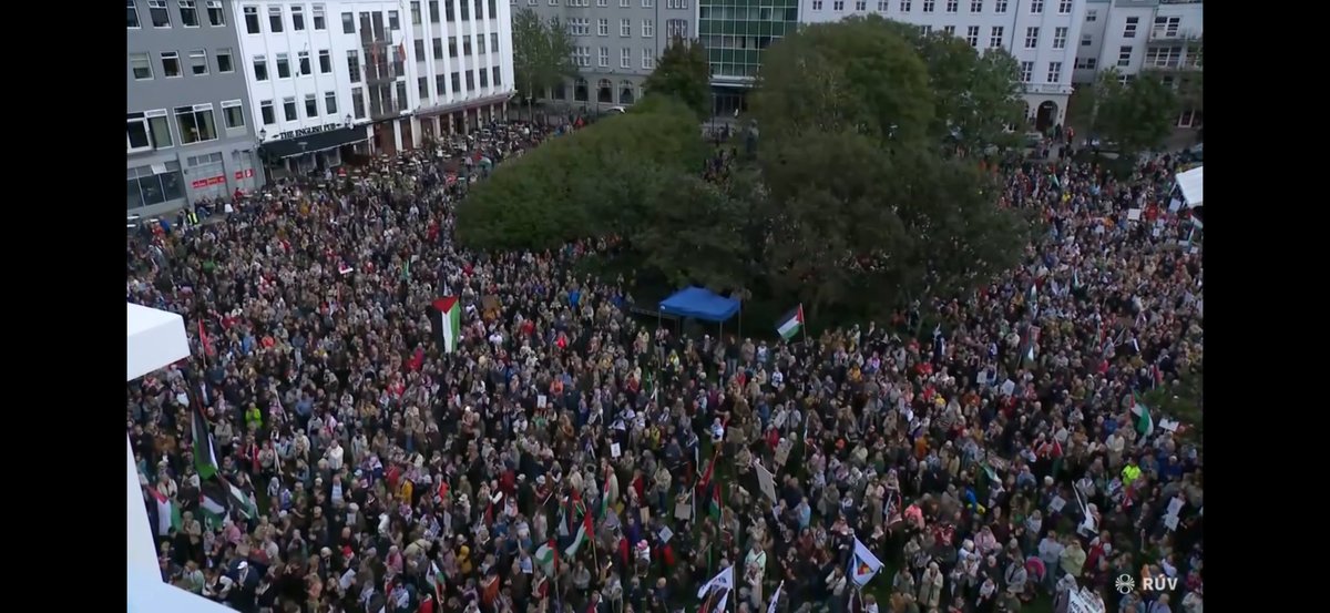 Mótmæli Austurvöllur RÚV