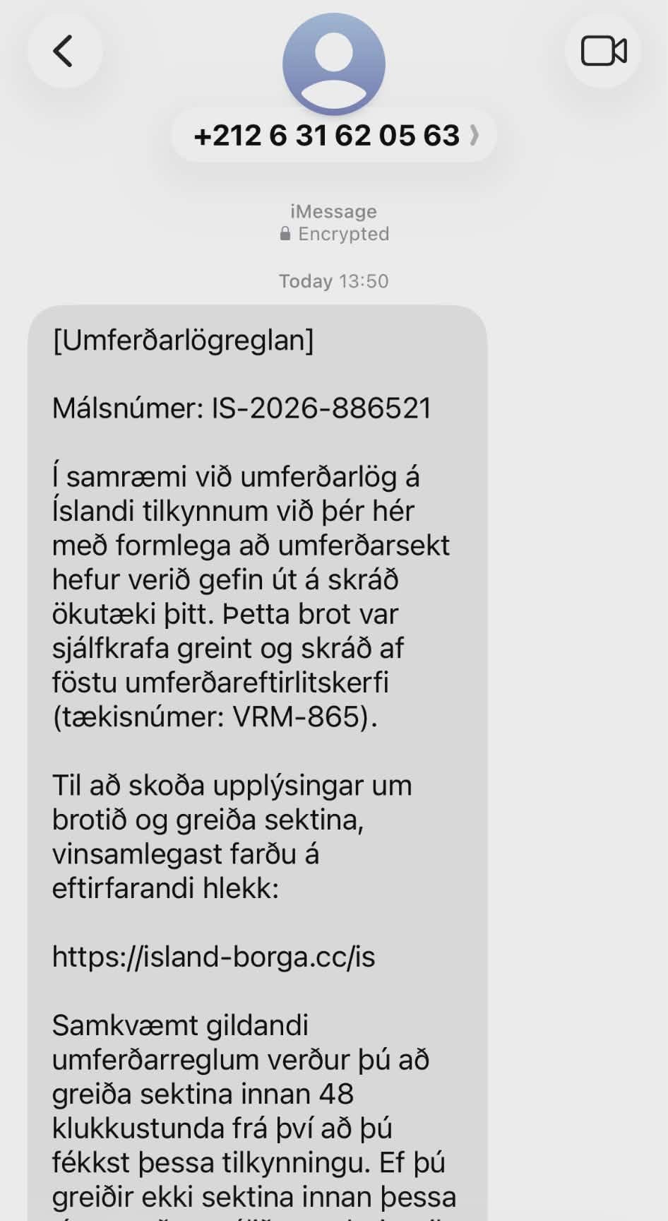 Netsvik