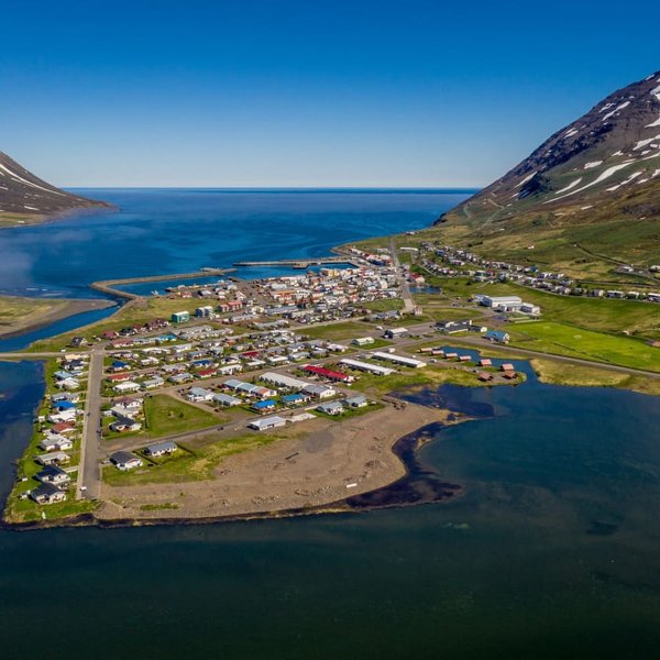 Karlmaður ók á ljósastaur og flúði vettvang