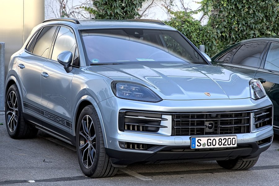 Hundagelt með dýrum afleiðingum