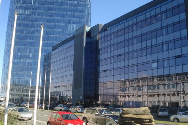 Heilbrigðiseftirlit Reykjavíkur stöðvar sölu á döðlum