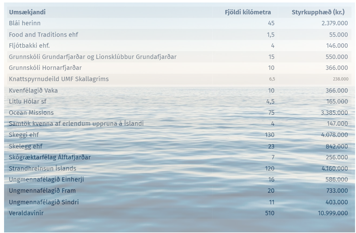 Úhlutun umhverfisstyrks