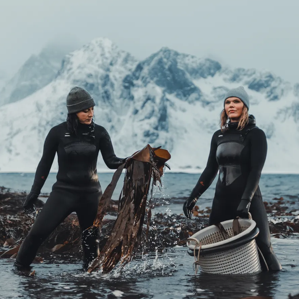 Konurnar sem leiða þarabyltinguna