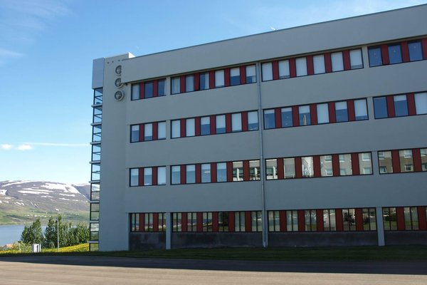 Mikil samkeppni um forstjórastöðu