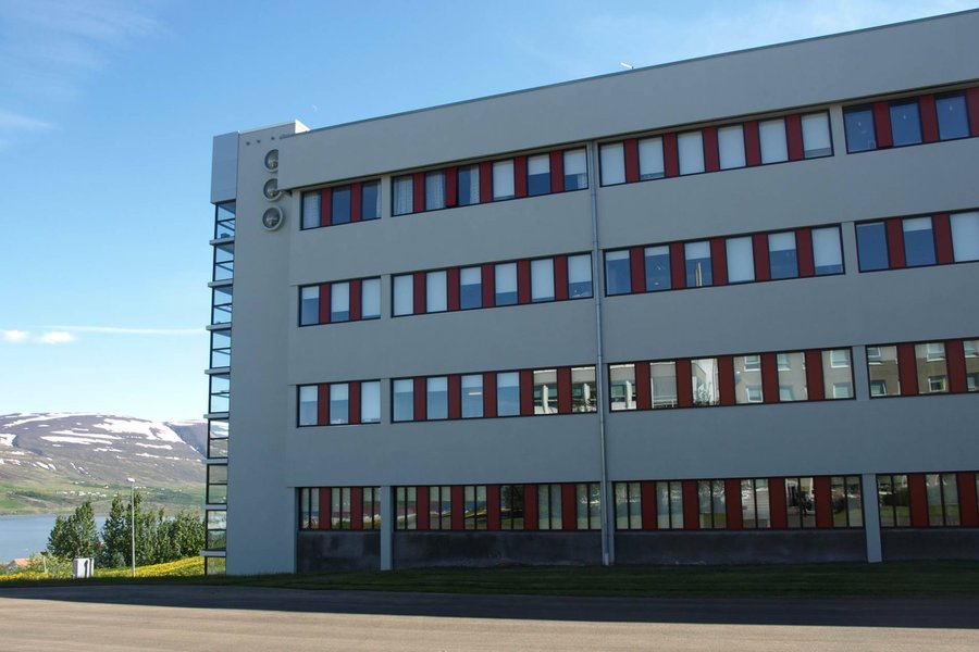 Mikil samkeppni um forstjórastöðu