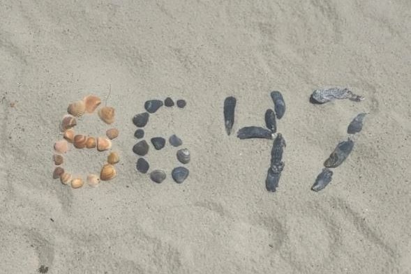 James Comey ákærður vegna ljósmyndar af skeljum