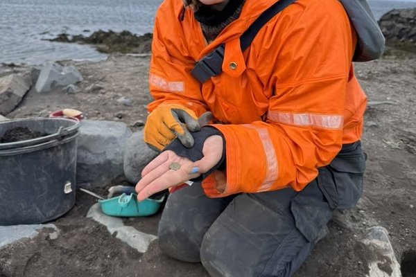 Mynt frá tíma Ólafs kyrra fannst í fornleifauppgreftri á Skaga