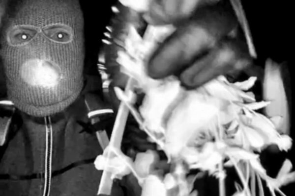 Ný vending í hvarfi móður Savönnuh Guthrie