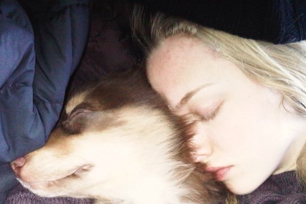 Amanda Seyfried syrgir hundinn Finn