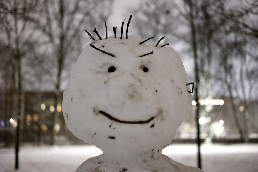 Heitir nú Hallur Snjókaldur