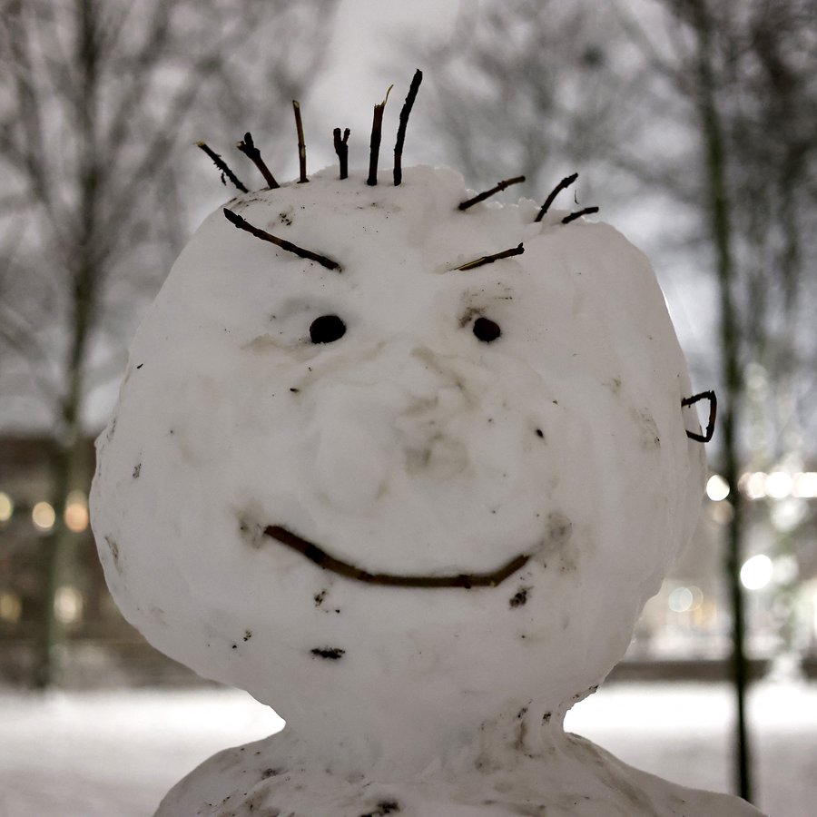 Heitir nú Hallur Snjókaldur