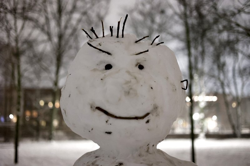 Snjókall