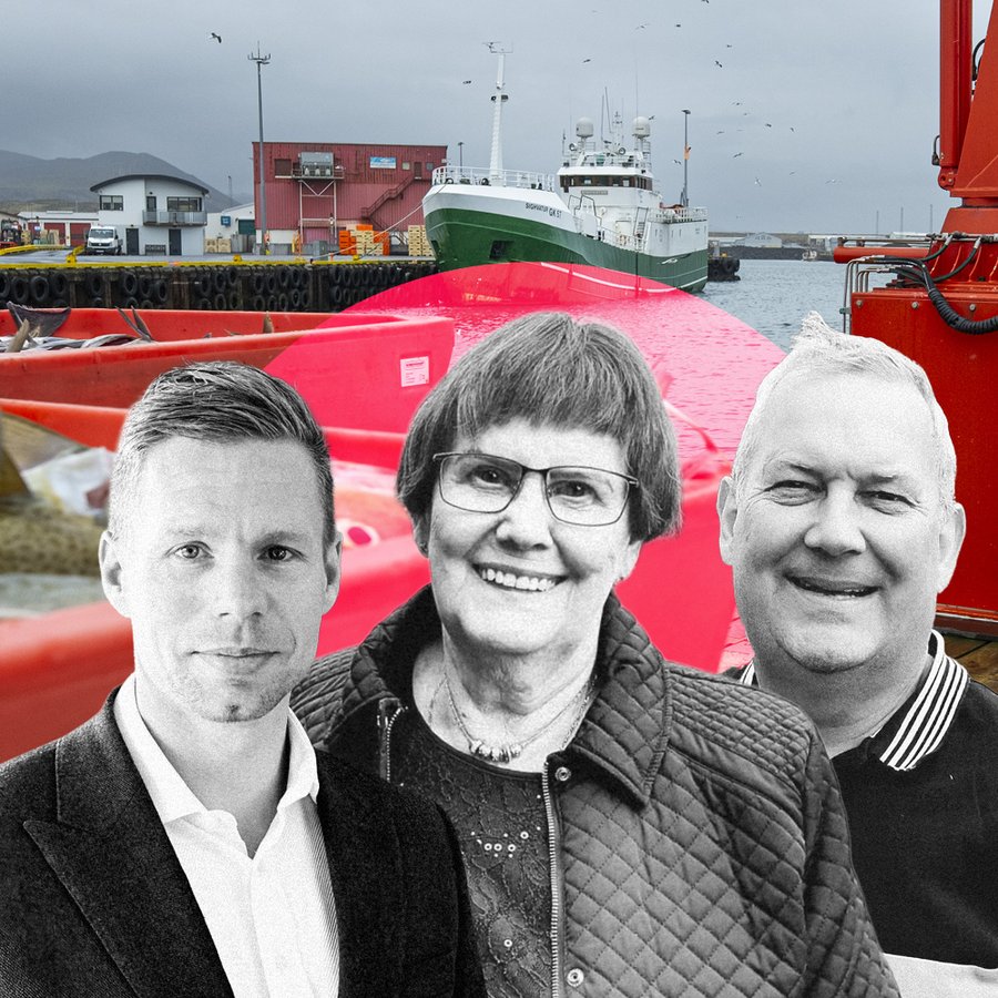 Ellefu sem græddu á tá og fingri á Suðurnesjum